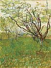 Orchard Paintings - Orchard in Blossom 1 by Vincent van Gogh